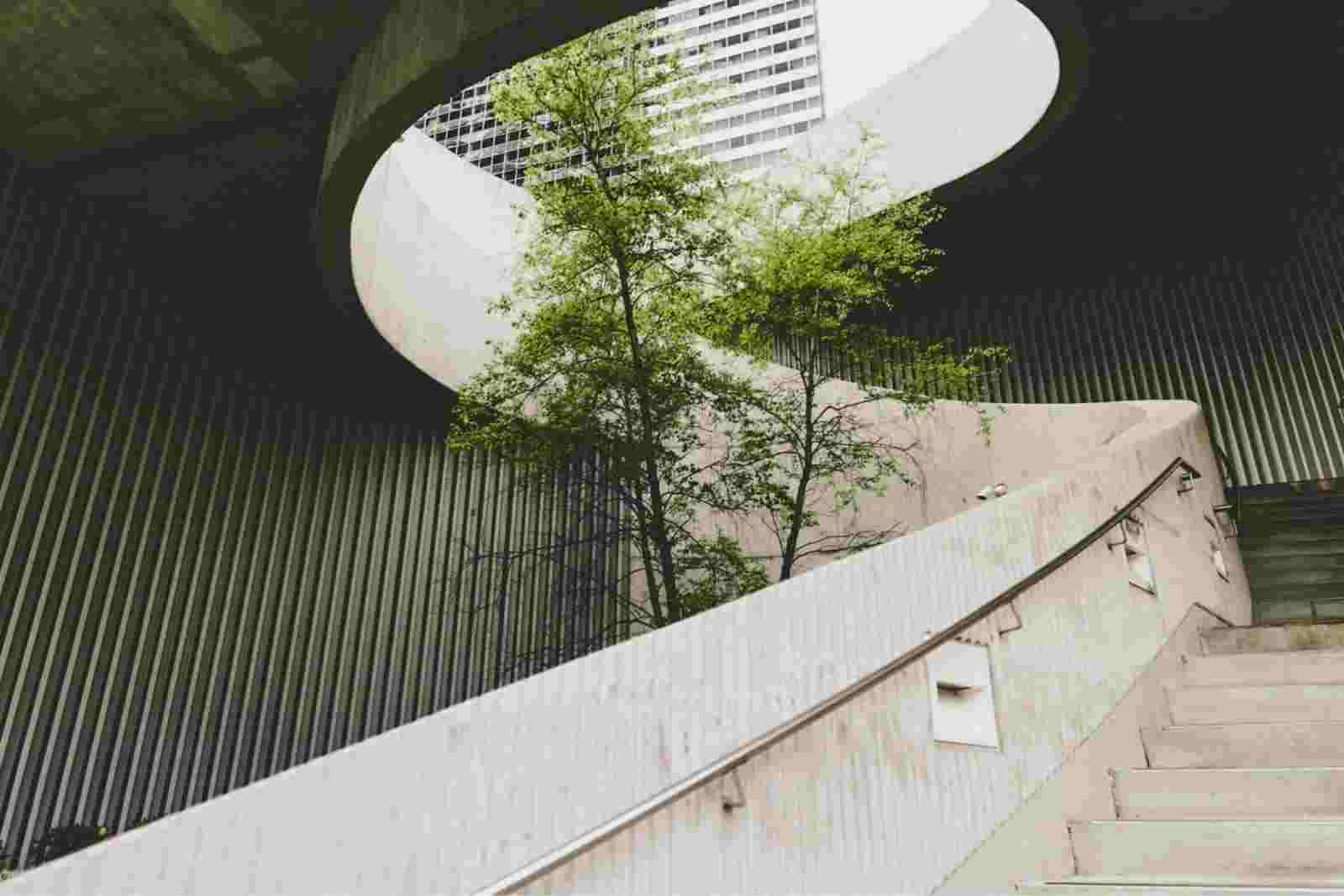 Image d'un arbre entouré d'un escalier